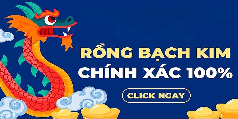 Rồng Bạch Kim chính xác 100% mang đến lợi thế khi đặt cược online